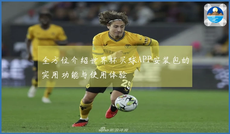 全方位介绍世界杯买球APP安装包的实用功能与使用体验