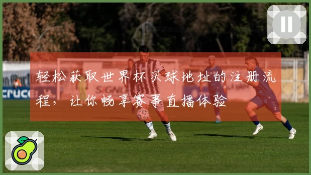 轻松获取世界杯买球地址的注册流程，让你畅享赛事直播体验