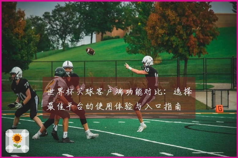 世界杯买球客户端功能对比：选择最佳平台的使用体验与入口指南