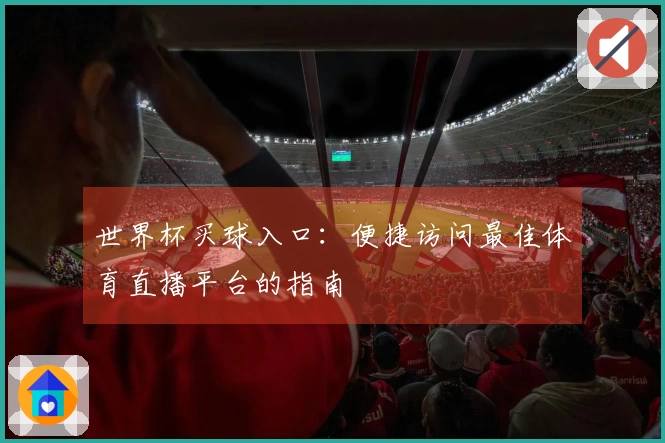 世界杯买球入口：便捷访问最佳体育直播平台的指南