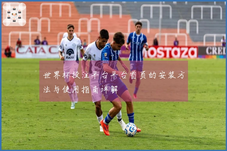 世界杯投注平台平台首页的安装方法与使用指南详解
